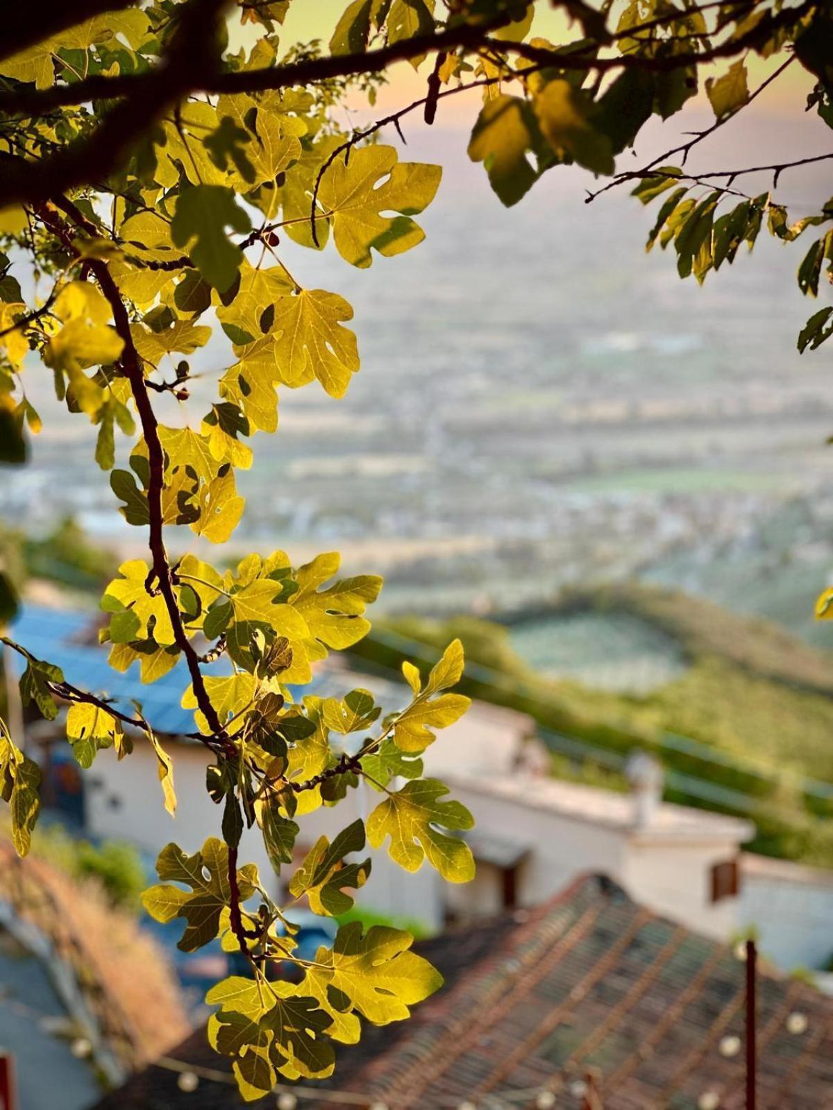 Apartamento Tetti Di Trevi Santa Maria in Valle Exterior foto